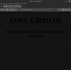 Phishing scam website, 2025-12-18.